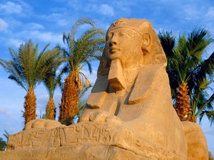  Египет сегодня для туристов