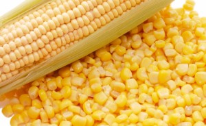 95538332 300x184 Польза кукурузы: о чём мы ещё не знали?
