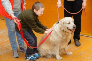 1406089603 children disabilities treatment dogs 300x200 Канистерапия: как лечит собака?
