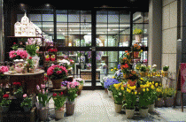 Как открыть цветочный магазин с нуля?